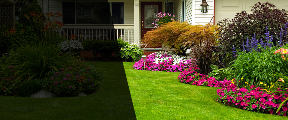 Palm Bay Landscapers