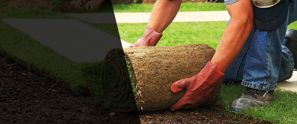Palm Bay Landscapers